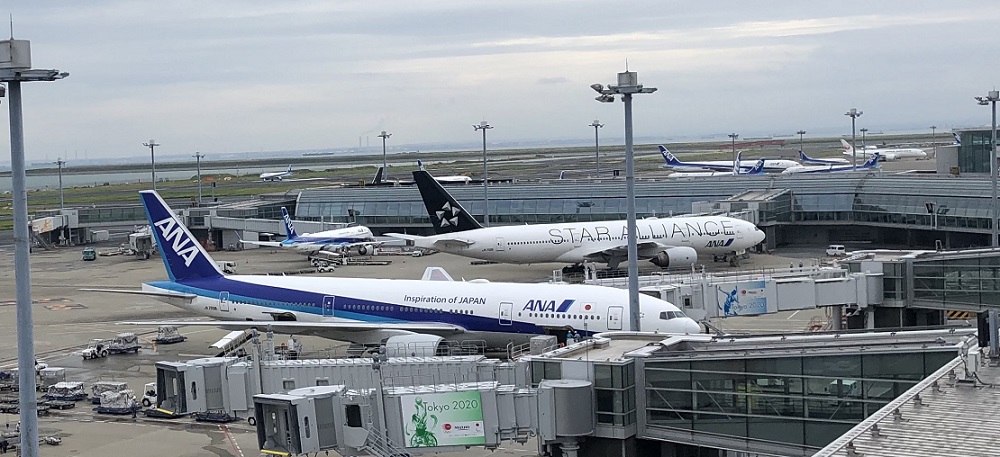 SFC修行完全ガイド！ANA上級会員を目指そう！徹底解説【2019年最新版】